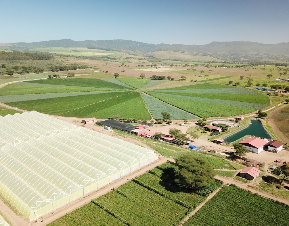 Agdevco AgDevCo in equity investment deal with Agris